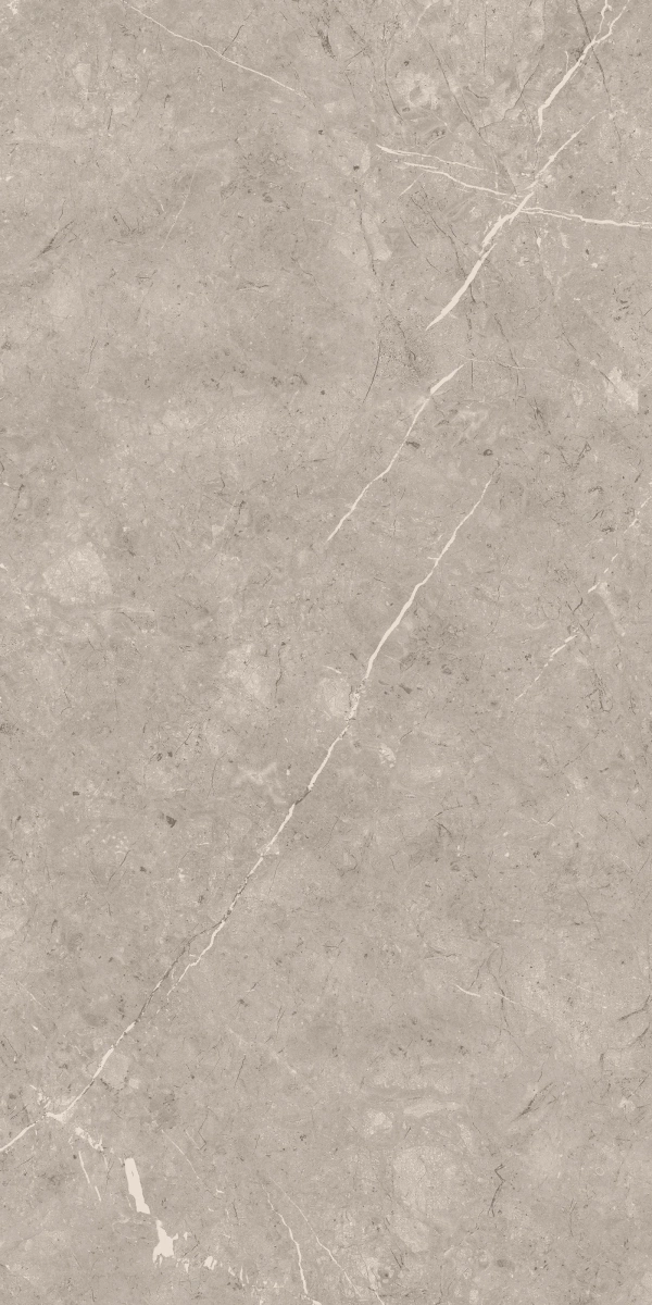 Concept Jakrata Mashroom