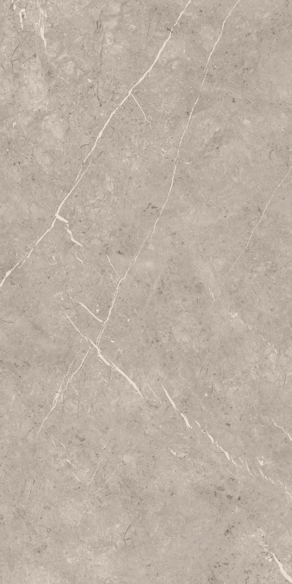 Concept Jakrata Mashroom